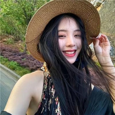 企鹅之岛:福克兰