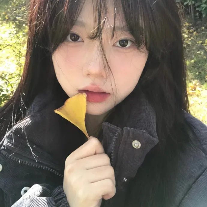 托托的色彩美学观